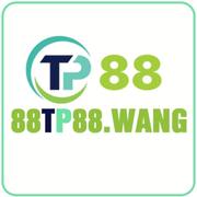 88tp88 wang's avatar