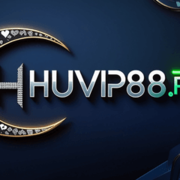 Huvip 88's avatar