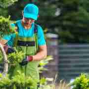 Arborist Huffman's avatar