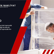 mersin ambari's avatar