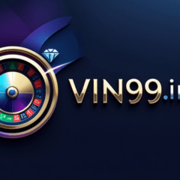 VIN 99's avatar