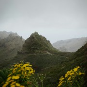 Logan Scott's avatar