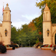 Ayush malviya's avatar