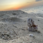 Aditya Lahiri's avatar