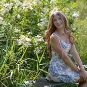 Alli Rowe's avatar