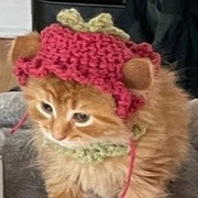 Kai Thompson's avatar