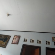 Ceysa juliani putri's avatar