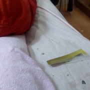 Vivi Novianti's avatar