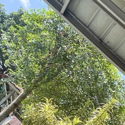 Putri Raisya's avatar