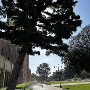 DIEGO RAMIREZ ROMERO