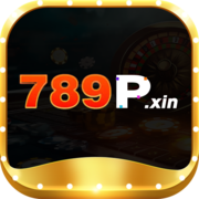 789p xin's avatar