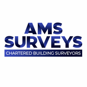 AMS  SURVEYS's avatar
