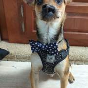 CRYSTAL TUGGLE's avatar