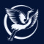 Ilya Timofeev's avatar