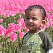 Kedaar Rentachintala