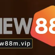 Nhà Đài New88's avatar