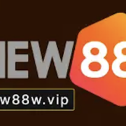 Nhà Đài New88's avatar