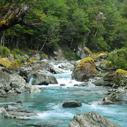 Stefan Florea's avatar