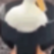 a x