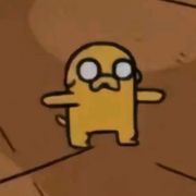 Lauren Hong's avatar