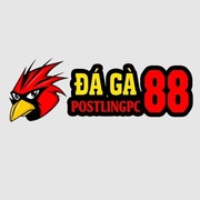 ĐÁ GÀ 88's avatar