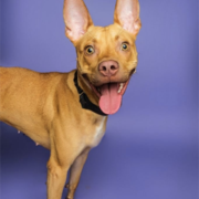 Kenny Thomson's avatar