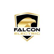 Falcon Electric's avatar