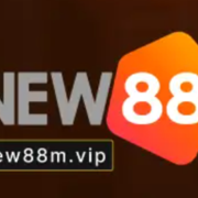 Nhà Đài New88's avatar