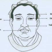 pillsand skills's avatar