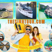 Halong Bay Tours - Halong Bay Cruises's avatar