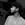 Dinesh Kumar