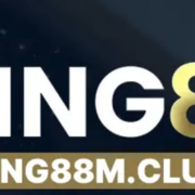 King88 King88's avatar