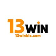 13winbiz Com's avatar