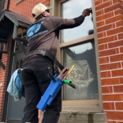 Window Cleaning Etobicoke's avatar