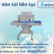 Winvac may-dan-tui's avatar