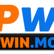 VIPWIN VIPWIN's avatar