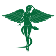 Tran Plastic Surgery's avatar