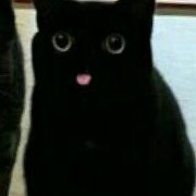 A. Nour's avatar