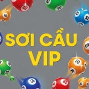 Soi cầu Vip's avatar