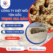 Diệt mối TP. Hồ Chí Minh's avatar