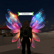 Christopher  Greeley