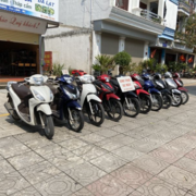 Thuê xe Hạ Long's avatar