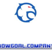 Nowgoal Company's avatar