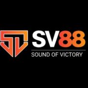 SV88 .'s avatar