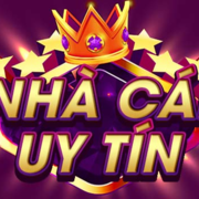 Nhà Cái Uy Tín's avatar