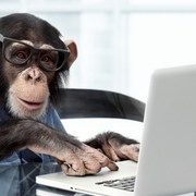 Bastari Notelli's avatar