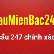 Soi cầu miền Bắc's avatar