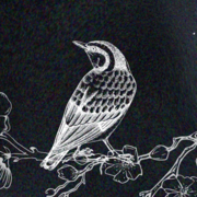 Satvik Marripalapu's avatar