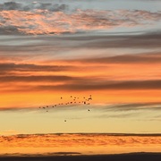 Srihari Manivannan's avatar