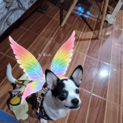 YOYOANU POWNGNAK's avatar